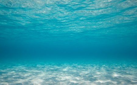 Sea - summer, water, texture, sea, skin