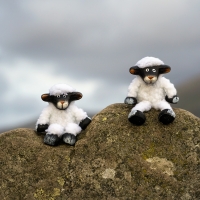 Two little sheep