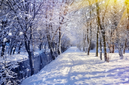 Winter park - snowfall, trees, frost, beautiful, park, winter, snowflakes, creek