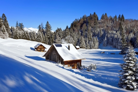 Winter chalets - slope, mountain, forest, chalets, snow, beautiful, winter, house