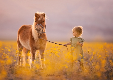 Little girl with pony - pony, girl, summer, child, field, copil, suzy mead, yellow, horse, cute, little