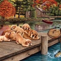 Lazy Day on the Dock - Dogs F