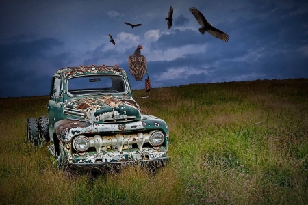 Abandoned Ford F1 Pick Up Truck - ford, vultures, pick up, scrap car, photo