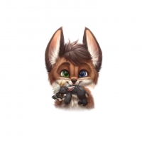Cute fox