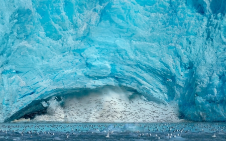 Iceberg - ice, skin, iarna, winter, bird, pasare, white, iceberg, blue, texture