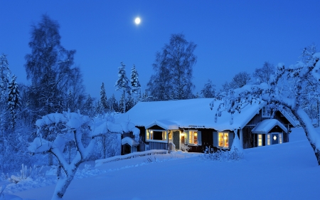 Moonlight Cabin - trees, winter, lights, evening, landscape, snow