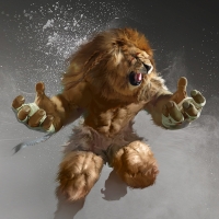 Lion fighter