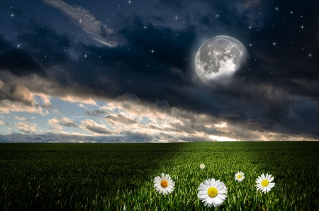 :) - moon, blue, daisy, flower, creative, fantasy, green, sky, luna