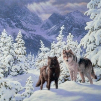 Winter Wolves