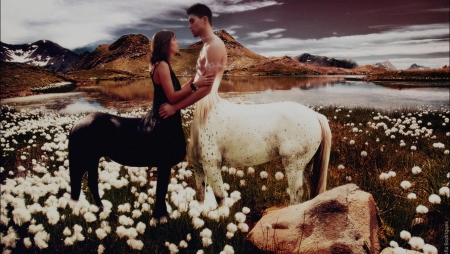 centaur love - rock, centaur, grass, flower