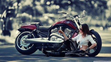 beauty and the beast - davidson, girl, motorcycle, harley