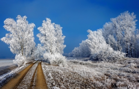 Winter frost - ice, sky, trees, winter, road, cold, frost, snow, beautiful