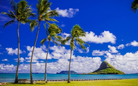 Hawaii - fun, Hawaii, nature, beach, ocean, cool