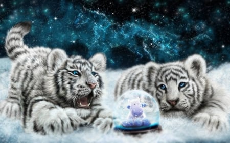 white tigers - fun, cool, animals, cats, white tigers