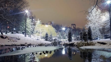 Park view - winter, night, park, nature, urban, reflection, pretty, snow, frost, city, scene, lights