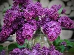 VASE OF LILACS