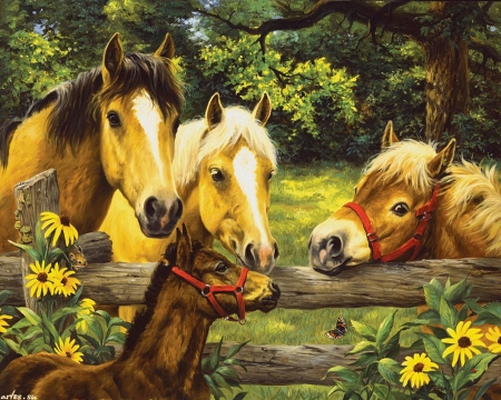 New friends - fence, pony, summer, painting, art, horse, pictura, cute, flower