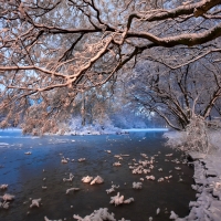 Winter river