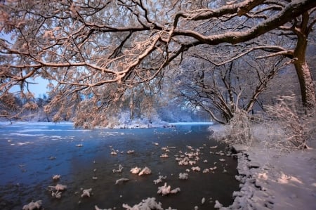 Winter river - winter, beautiful, frost, branches, river, trees, ice, snow, cold