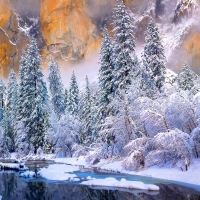 Winter At Yosemite National Park