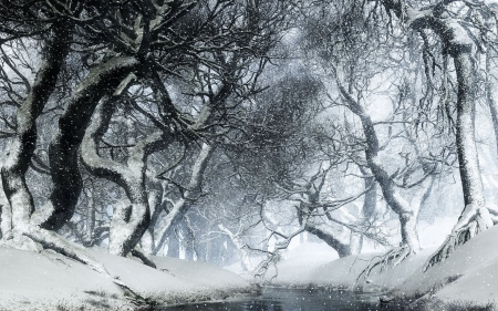 snowy forest - snow, winter, forest, tree