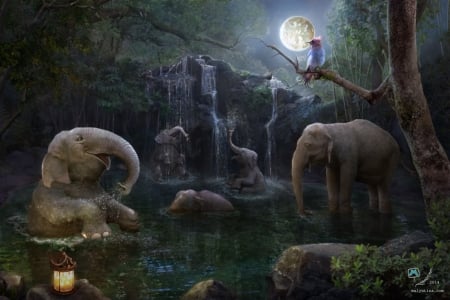 Moon elephants - moon, water, night, summer, fantasy, pasare, bird, elephant, lantern, luminos, samaposebe, luna