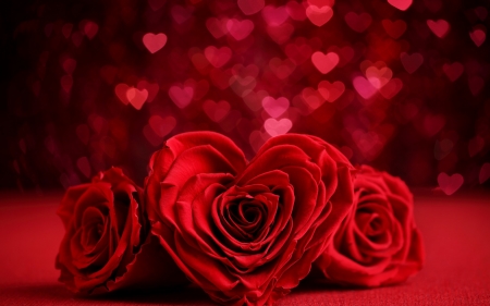 Happy Valentine's Day! - heart, red, valentine, rose, card, flower