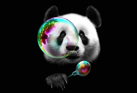 Panda - bear, black, fantasy, white, panda, bubbles, creative, pink