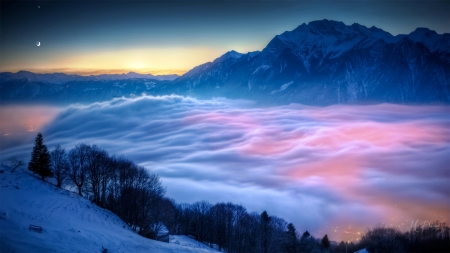 Light on Morning Fog - sky, mountain, trees, sun, light, foggy, forest, dawn, twilight, fog, misty, firefox persona theme