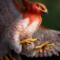 Talonflame