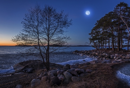 Stones Near The Coast - moon, trees, nature, coast, beach, stones