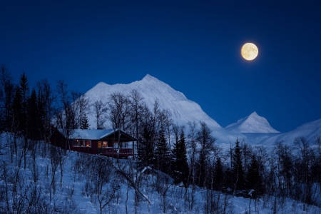 Winter Houses - moon, nature, houses, trees, snow, winter, mountains