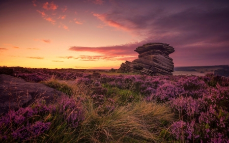 Heather Dawn - clouds, England, formation, rock formation, rock, Hathersage moor, Heather, flowers, dawn, Mother cap, Derbyshire, sky, rocks