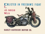 Harley Davidson Freedoms fight tin sign