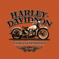 Simple Harley Davidson art