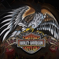 Harley Davidson Ride Hard