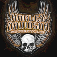 Harley Davidson Skull n wings