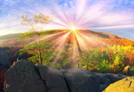 Autumn Mountain - trees, nature, autumn, lights, mountain, stones, sky