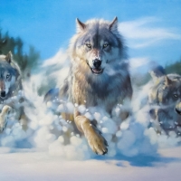 Wilde wolves