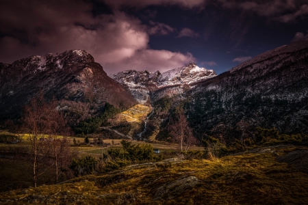 Trees in the Mountains - clouds, trees, nature, moss, mountains