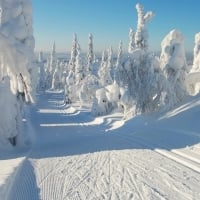 Snowy winter scene