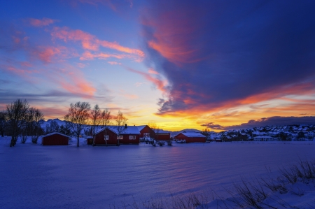 Houses in Winter