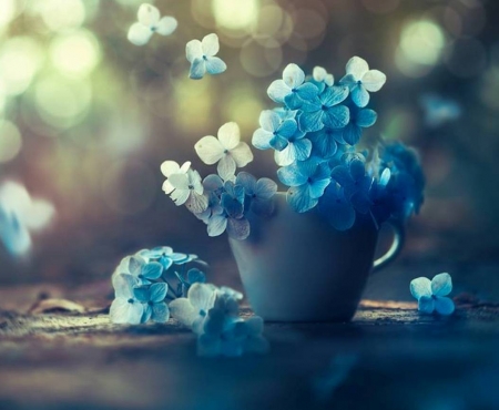 â™¥ - abstract, flowers, blue, photography