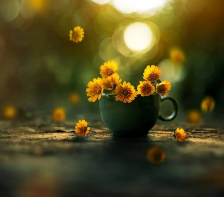 ♥ - abstract, flowers, cup, photography