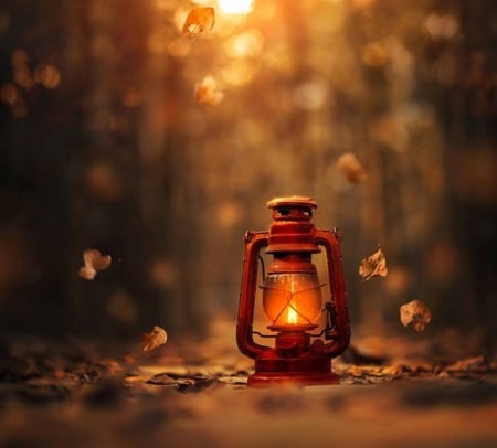 ♥ - abstract, leaves, lantern, autumn