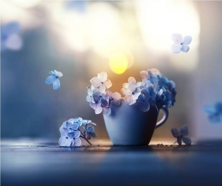 â™¥ - abstract, flowers, cup, soft