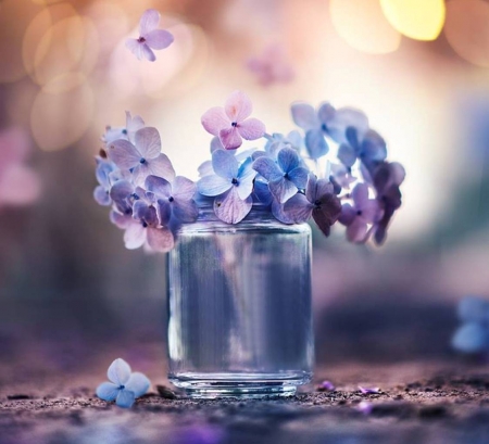 â™¥ - abstract, flowers, photography, soft