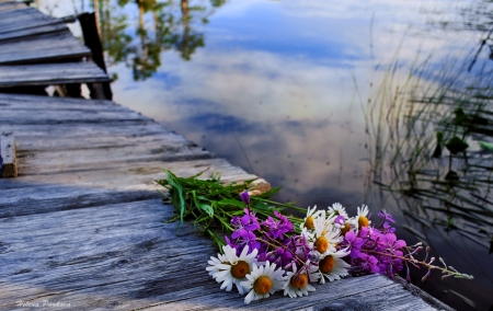 ♥ - abstract, flowers, photography, soft