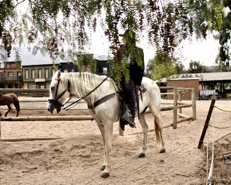 It Happens On A Ranch . . - women, trees, female, boots, hats, brunettes, western, girls, cowgirl, outdoors, horses, ranch, corral