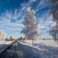 Winter Road in Latvia